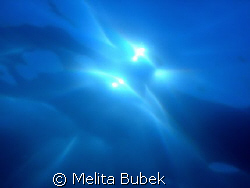 Looking for the Sun...f8, 1/800s by Melita Bubek 